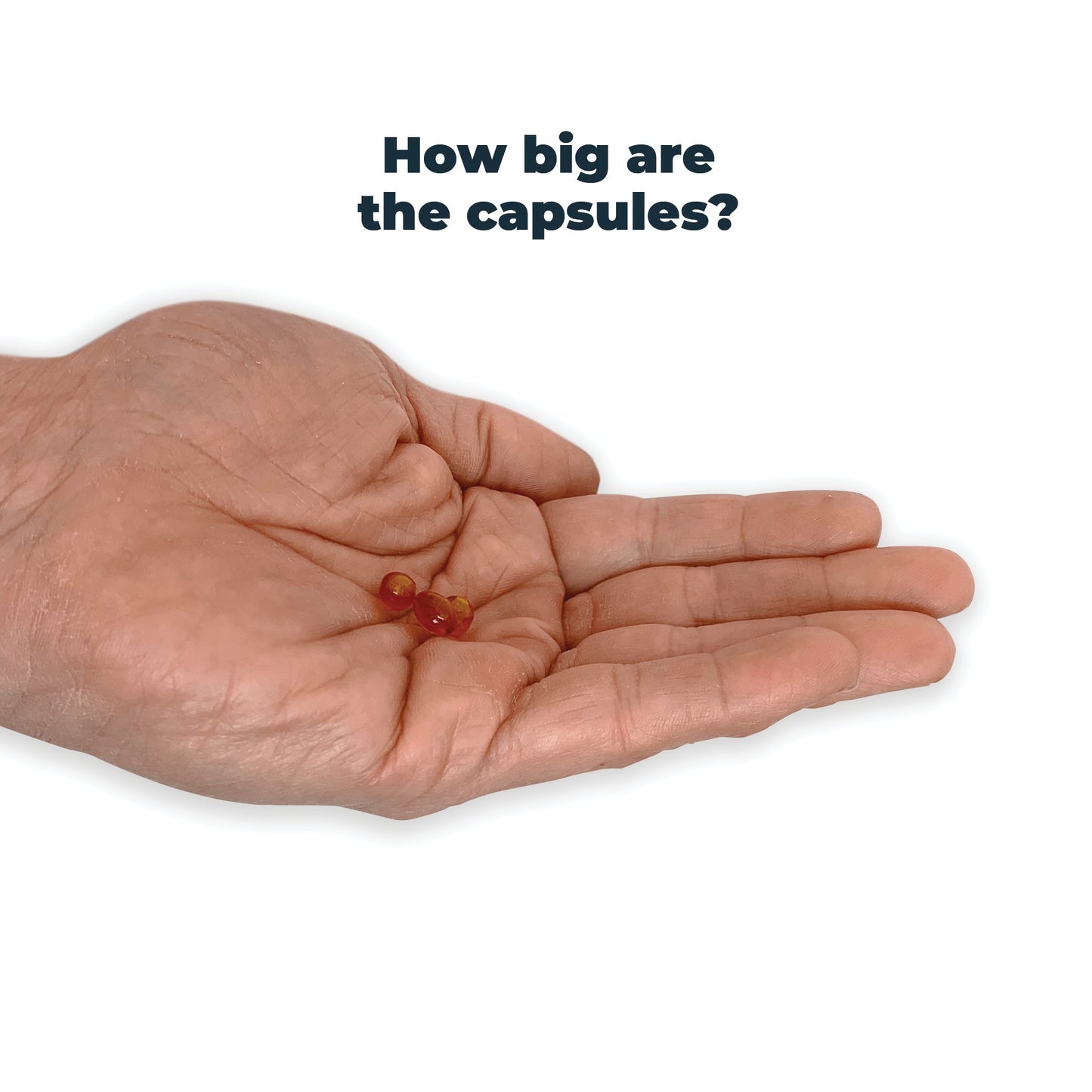 Antinol Booster Pack.