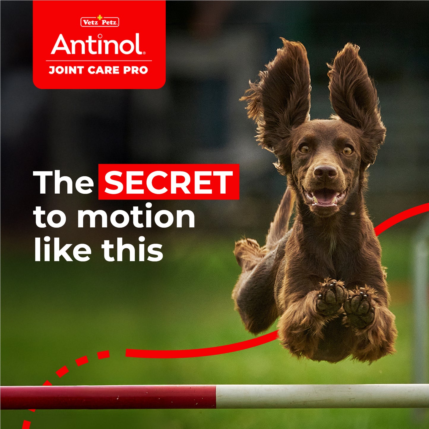 Antinol Booster Pack