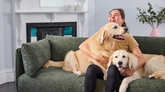 "He’s My Everything" – How Sarah Helped Her 12-Year-Old Golden Retriever Stay Happy, Healthy, and Active.
