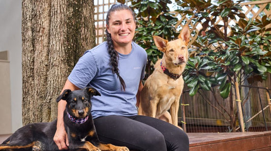 From Rescue to Racing: Bentley’s Journey Back to the Sport She Loves