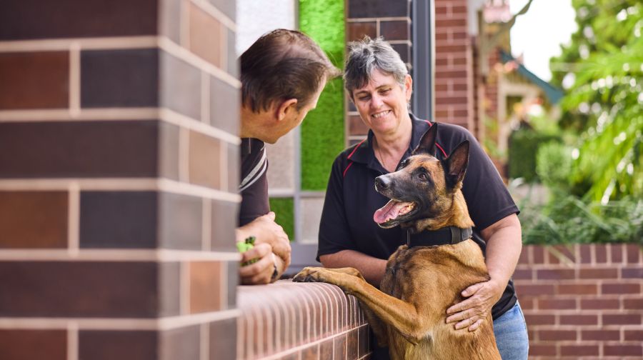 How One Working Dog Handler is Protecting Her Team’s Future, One Capsule at a Time
