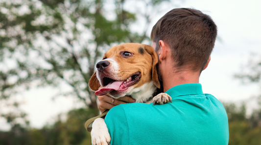 Father’s Day Adventures With Your Dog: 5 Active Days Out For Dog Dads!