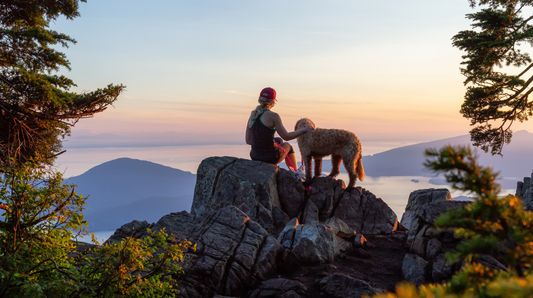 Hiking with your dog 101 - The trekking with your dog checklist