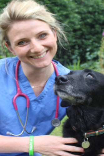 Making Your Veterinary Clinic Osteoarthritis Friendly: With Dr Nat Scroggie