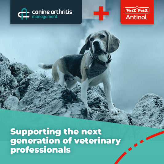 Osteoarthritis education for all vet and nursing students - Canine Arthritis Management (CAM) partners with Vetz Petz