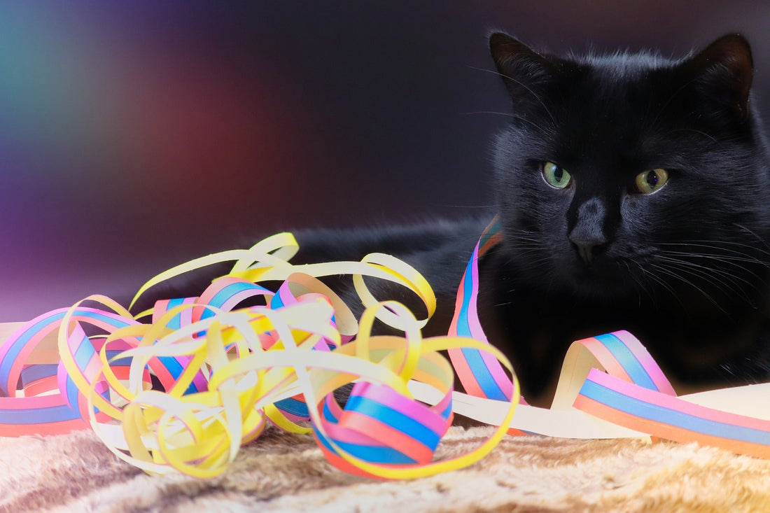 10 New Years' Resolutions for cat owners!