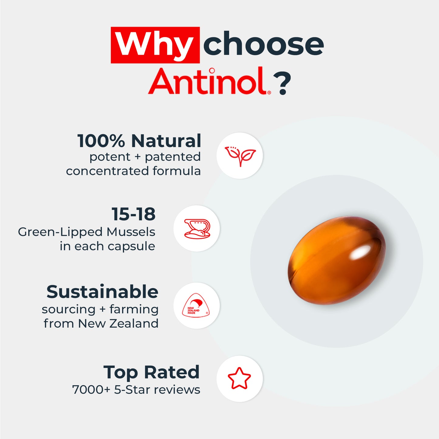 Dog Joint Supplements – Antinol <sup>®</sup> Joint Care Pro