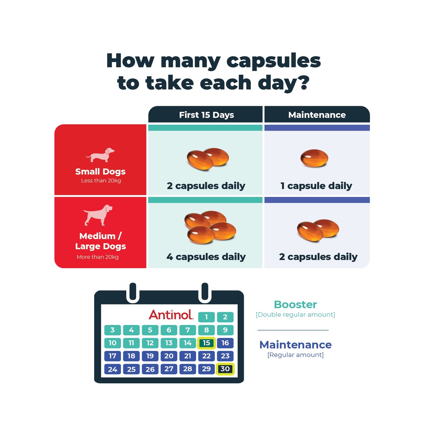 Antinol Booster Pack