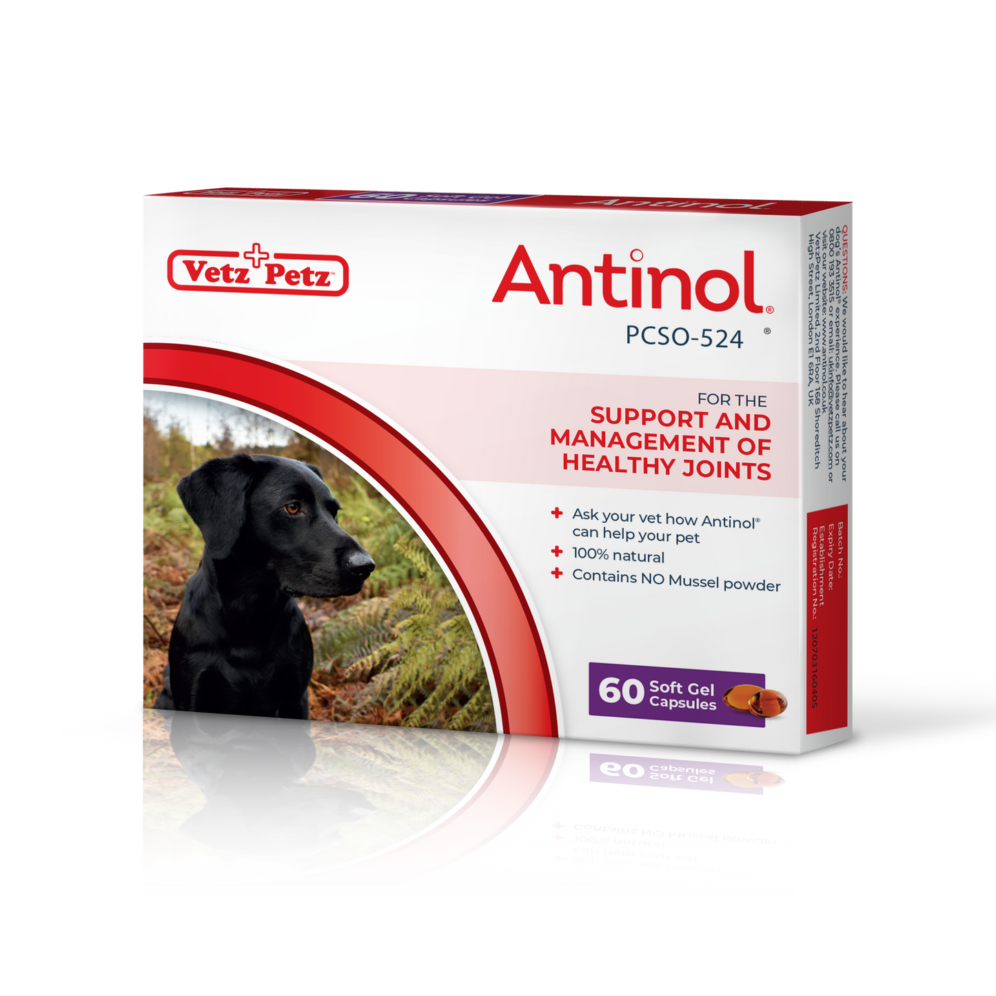 Antinol<sup>®</sup>️ for Dogs - BFCM 2023