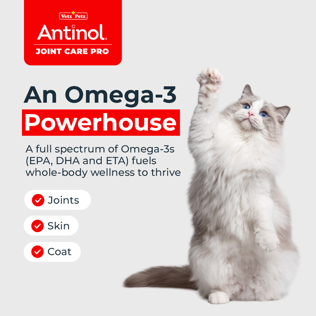 Cat Joint Supplement - Antinol<sup>®</sup> Joint Care Pro