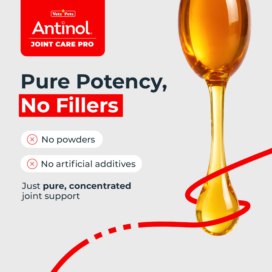 Cat Joint Supplement - Antinol<sup>®</sup> Joint Care Pro