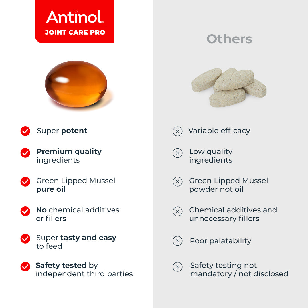 Dog Joint Supplements – Antinol <sup>®</sup> Joint Care Pro