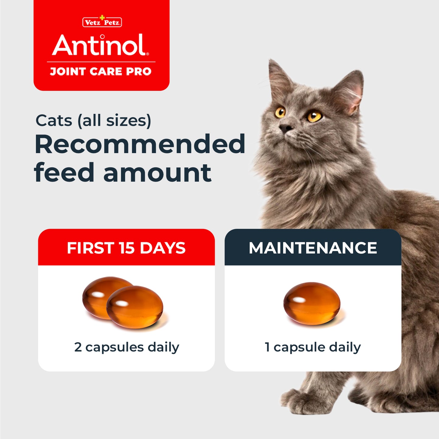 Cat Joint Supplement - Antinol<sup>®</sup> Joint Care Pro