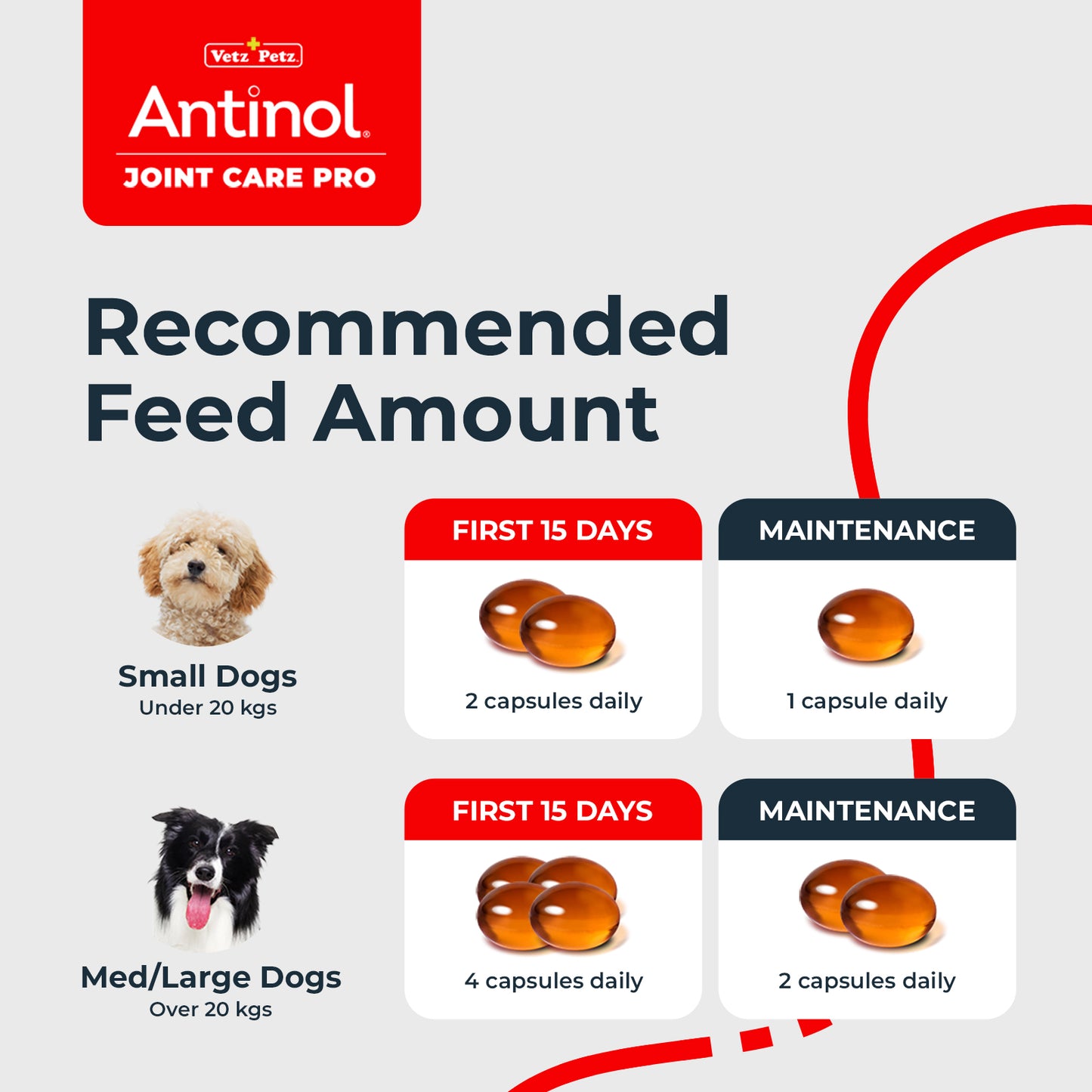 Dog Joint Supplements – Antinol <sup>®</sup> Joint Care Pro