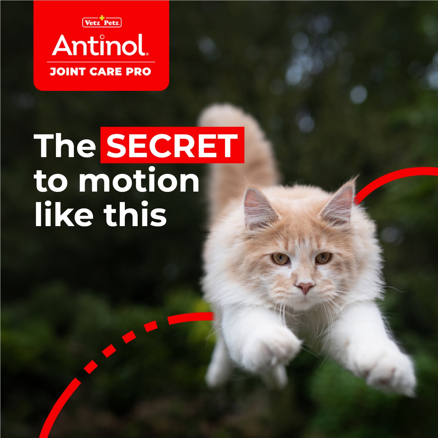 Cat Joint Supplement - Antinol<sup>®</sup> Joint Care Pro