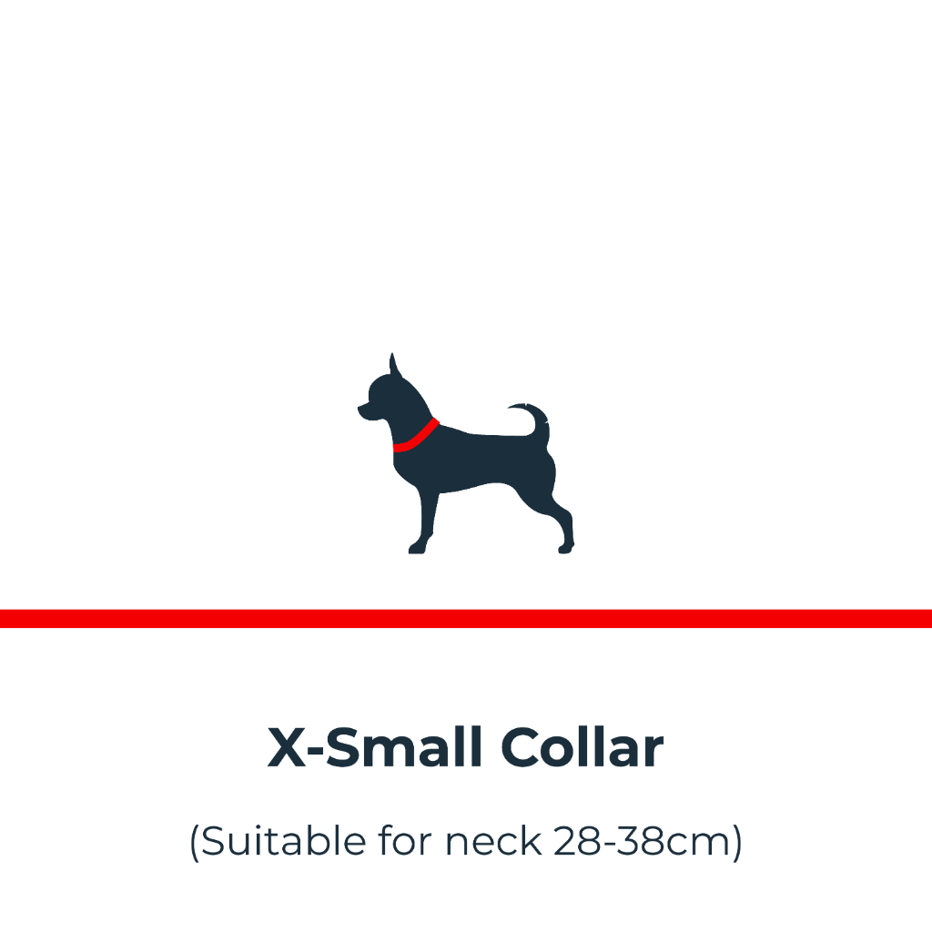 <sup>®< sup> Light up Collar