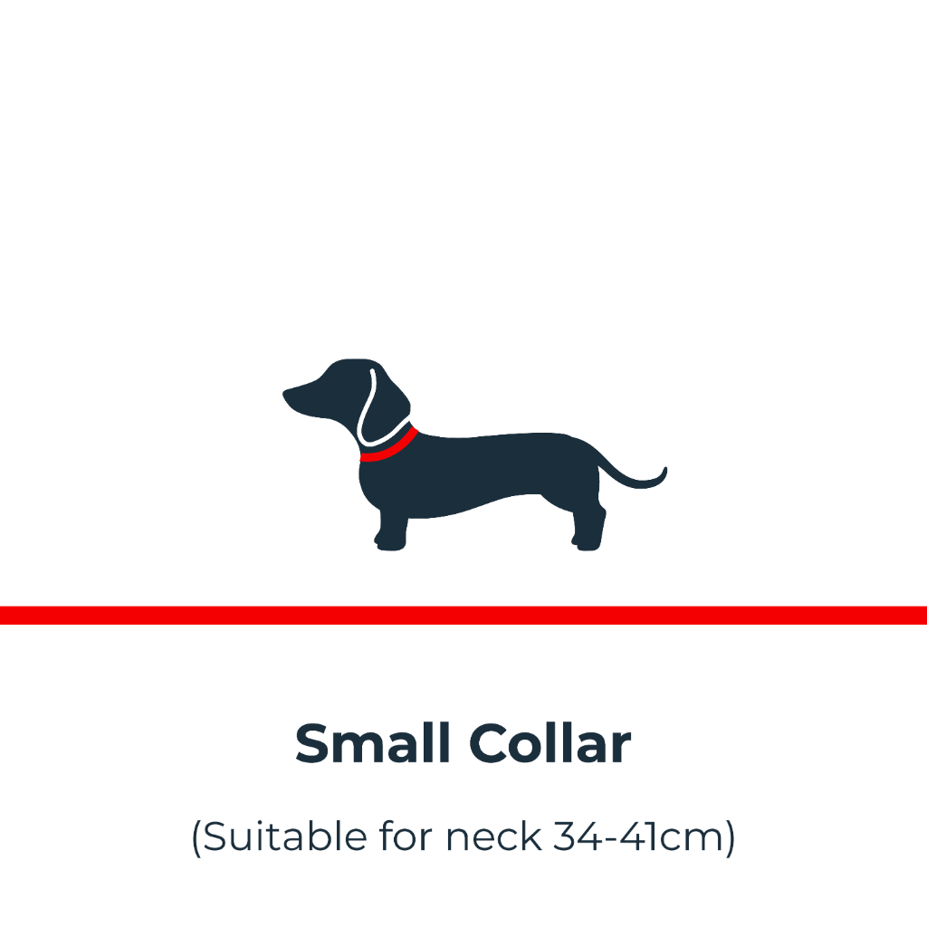 Antinol<sup>®</sup> Light-up Collar