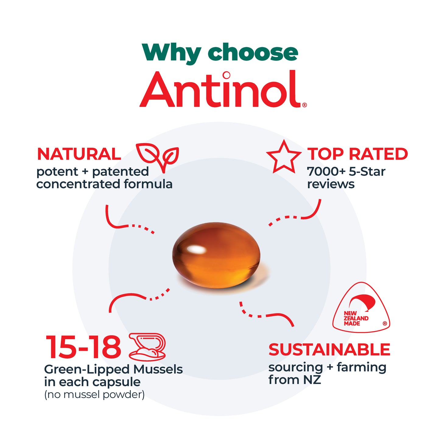 Antinol<sup>®</sup> Starter Pack Cat