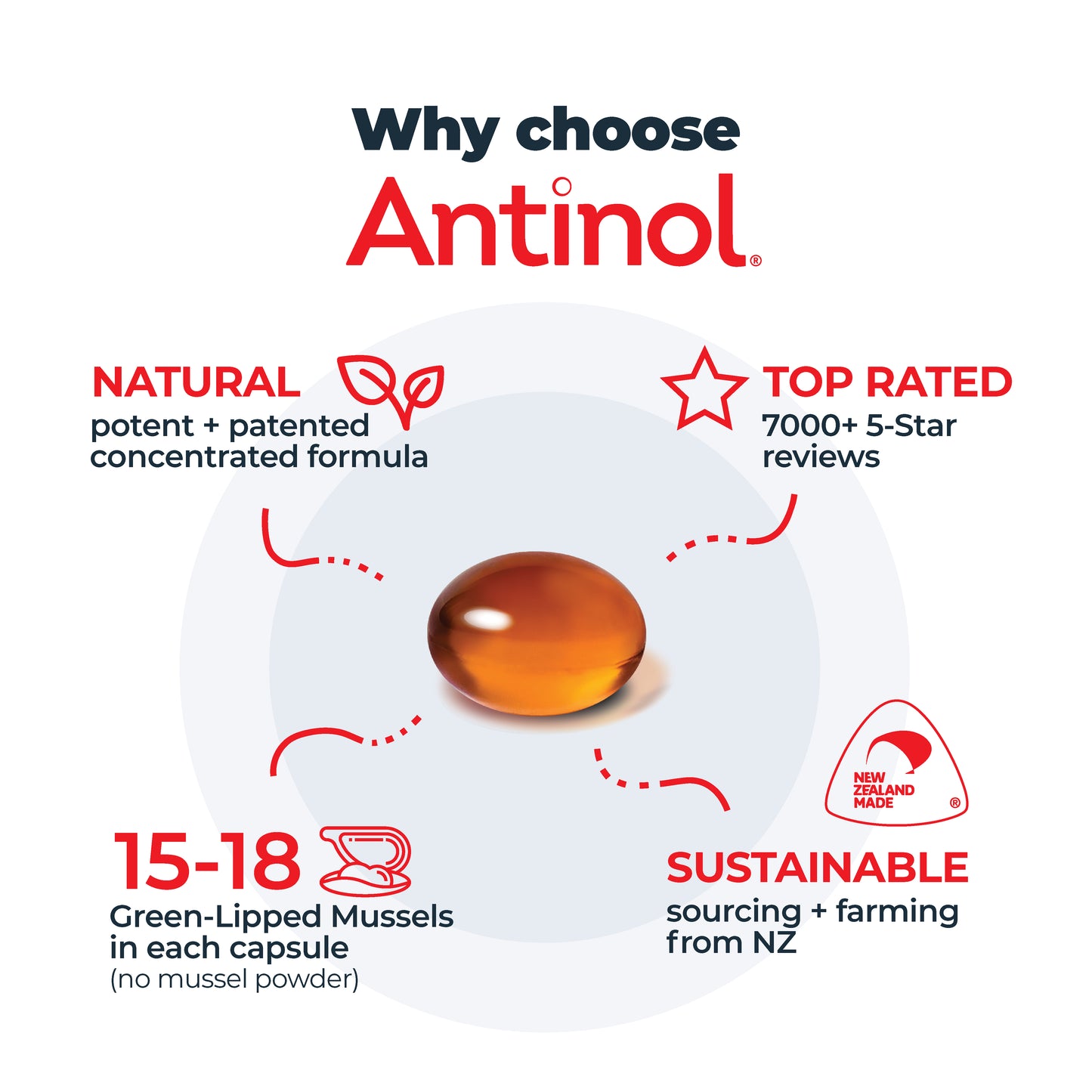 Antinol<sup>®</sup> Starter Pack Large Dog