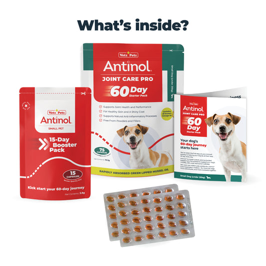Antinol<sup>®</sup> Starter Pack Small Dog