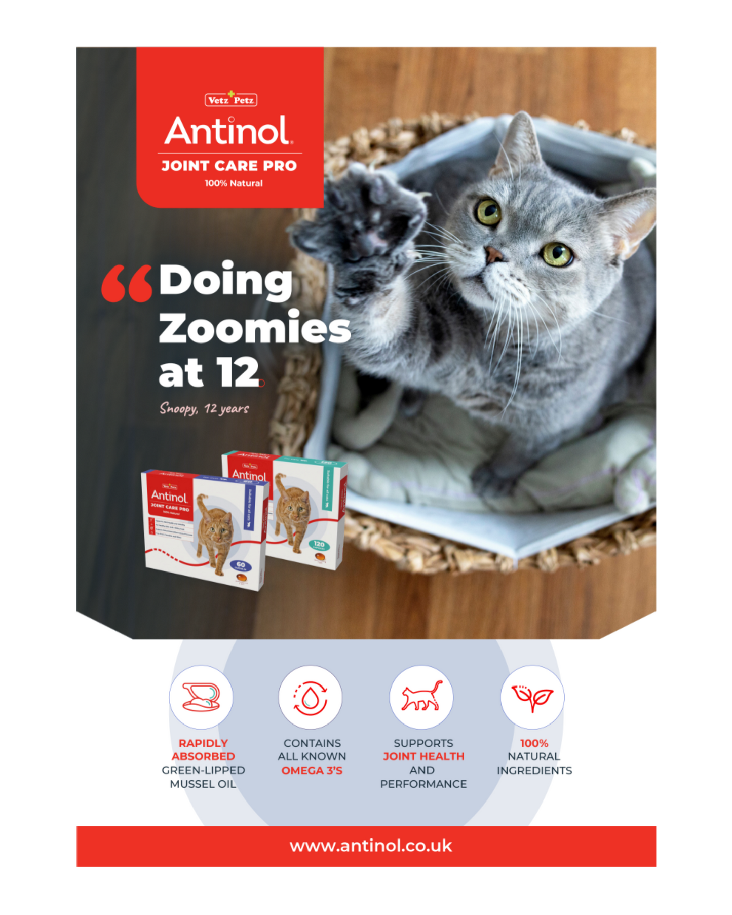 POS materials for Vets