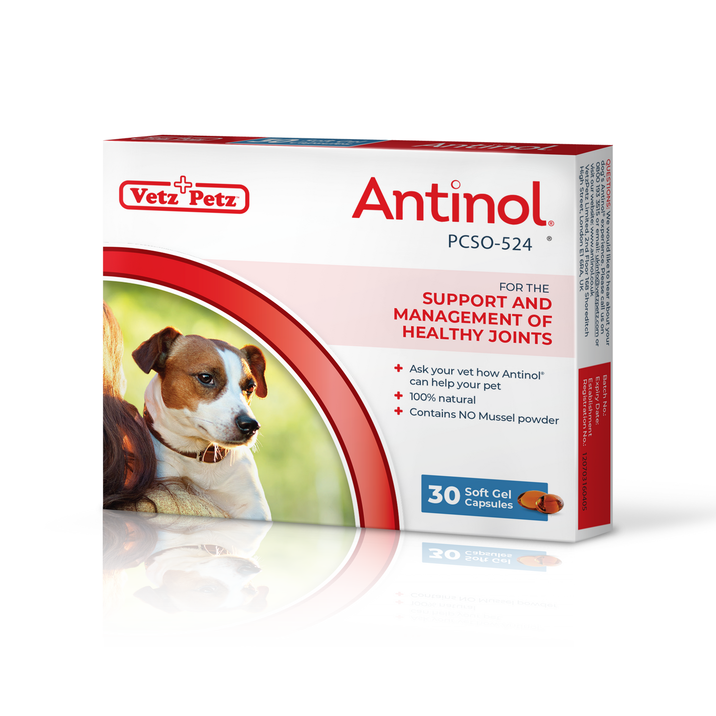 Antinol<sup>®</sup>️ for Dogs - BFCM 2022 Subscription offer