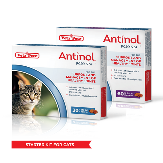 Antinol<sup>®</sup>️ Starter Kit Cat